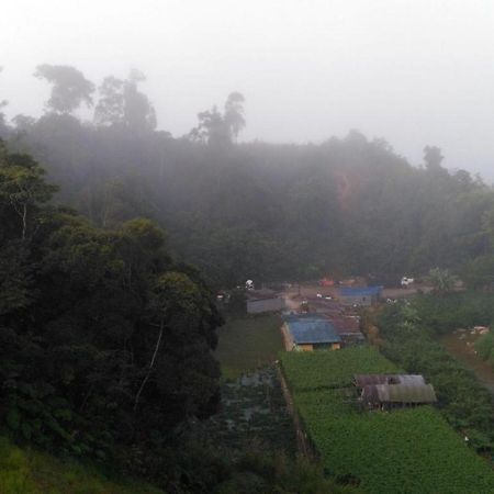 The Pines Hotel Kampung Kuala Terla Bagian luar foto