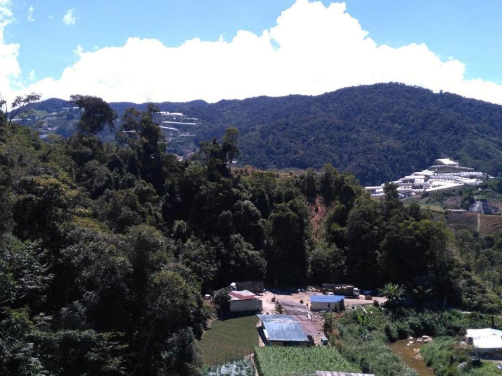 The Pines Hotel Kampung Kuala Terla Bagian luar foto