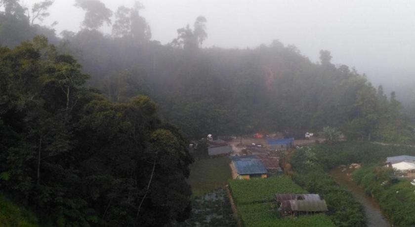 The Pines Hotel Kampung Kuala Terla Bagian luar foto