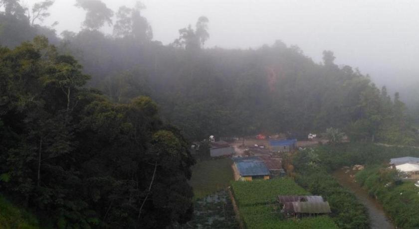The Pines Hotel Kampung Kuala Terla Bagian luar foto